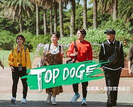 爆料公社《TOP DOG》免费在线观看
