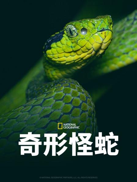 爆料吃瓜《奇形怪蛇》免费在线观看